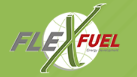 LOGO FLEFUEL